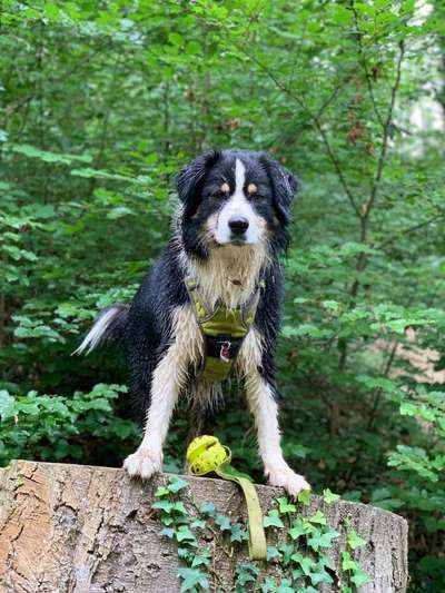 Foto Challenge die Vierte-Beitrag-Bild