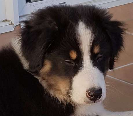 Foto Challenge 3-Beitrag-Bild