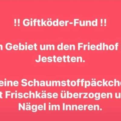 Giftköder-Giftköderfund-Bild