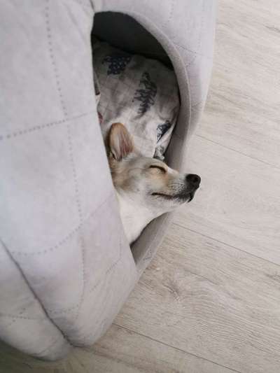 Die unbequemsten und lustigsten Schlafpositionen-Beitrag-Bild