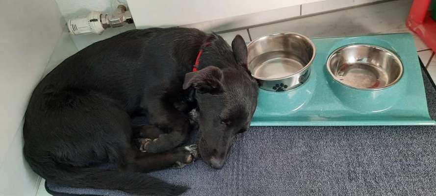 Die unbequemsten und lustigsten Schlafpositionen-Beitrag-Bild