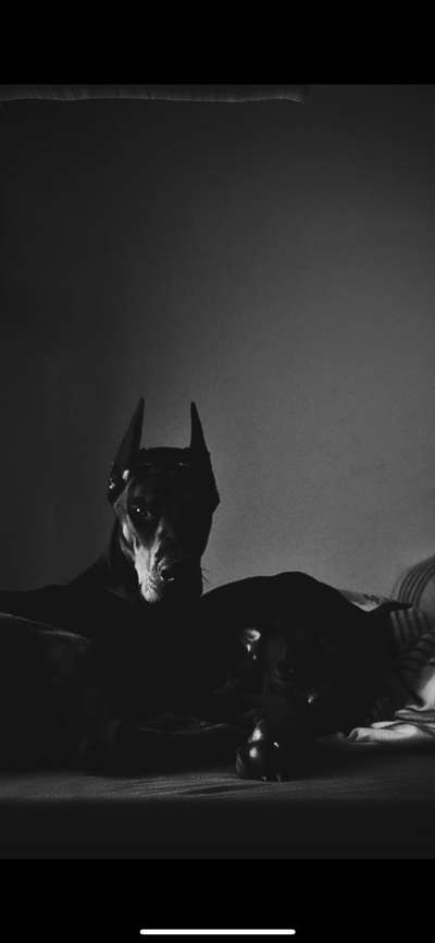 Zeigt eure Portraits-Beitrag-Bild