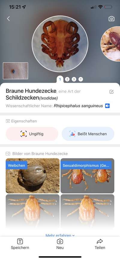 Wer kennt dieses Tier?-Beitrag-Bild