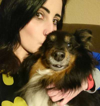 Seelenhunde-Beitrag-Bild