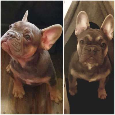 Vorher.... Nachher-Beitrag-Bild