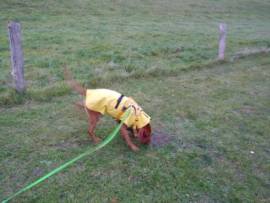 Regenmantel sinnvoll?-Beitrag-Bild