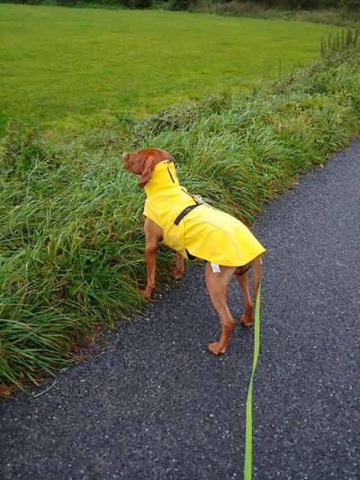 Regenmantel sinnvoll?-Beitrag-Bild