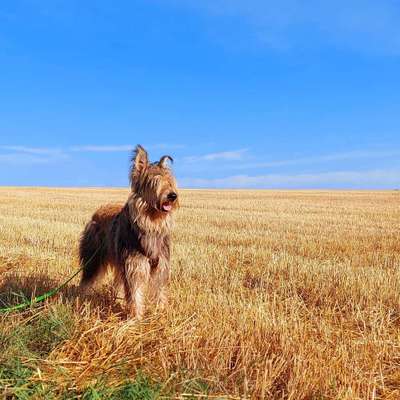 Christine's Profilbild