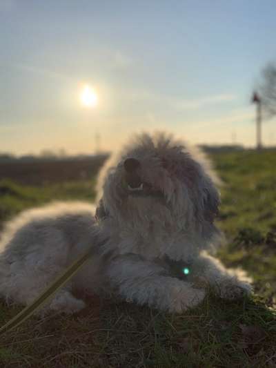 Fotochallenge 37- Sommerfeeling-Beitrag-Bild