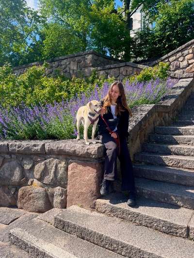 Hundetreffen-Hundefreunde gesucht-Bild