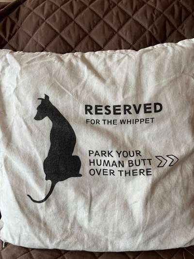 Windhunde - Treffen der besonderen Schönheiten
HERZLICH WILLKOMMEN-Beitrag-Bild