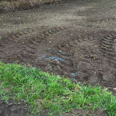 Giftköder-Schneckenkorn/Blaukorn-Bild
