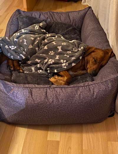 Schlafzeit!💖-Beitrag-Bild