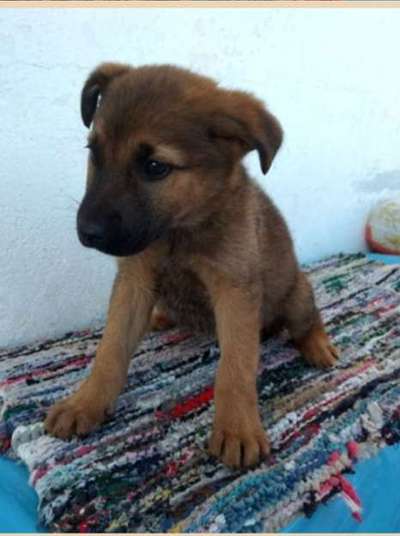 Vorher.... Nachher-Beitrag-Bild