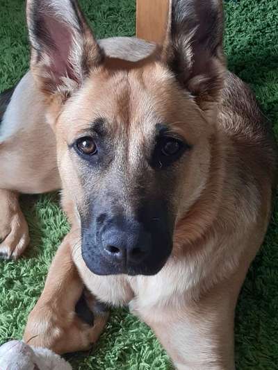 Vorher.... Nachher-Beitrag-Bild