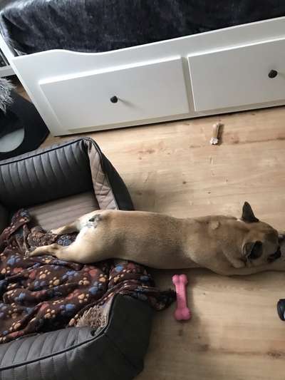 Foto Challenge Nr. 134-Beitrag-Bild