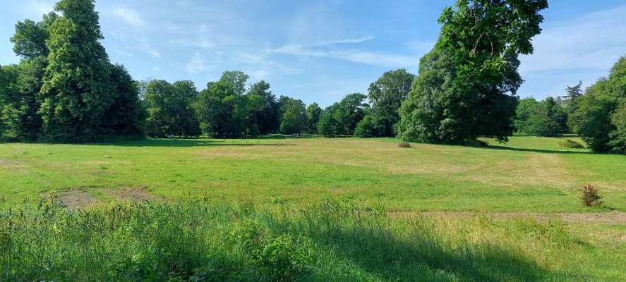 Hundeauslaufgebiet-Gut Güldenstein-Bild