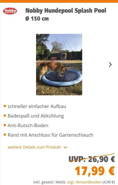 Rhodesian Ridgeback-Beitrag-Bild