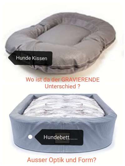 Hundebett oder Hundekissen-Beitrag-Bild