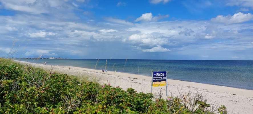 Hundeauslaufgebiet-Hundestrand Schönhagen-Bild