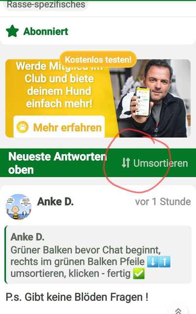 Rhodesian Ridgeback-Beitrag-Bild