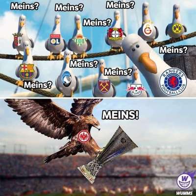 Rhodesian Ridgeback-Beitrag-Bild