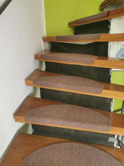 Rhodesian Ridgeback-Beitrag-Bild