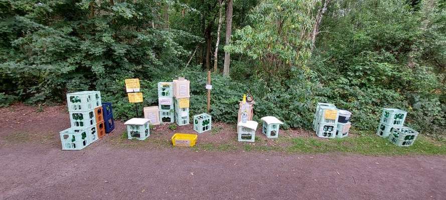 Rhodesian Ridgeback-Beitrag-Bild