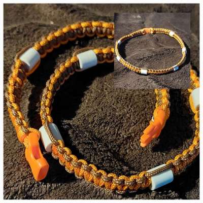 Rhodesian Ridgeback-Beitrag-Bild