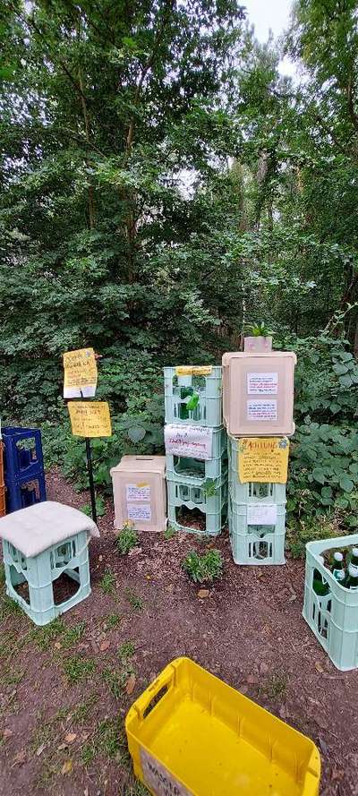 Rhodesian Ridgeback-Beitrag-Bild