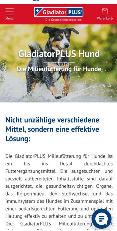 Rhodesian Ridgeback-Beitrag-Bild