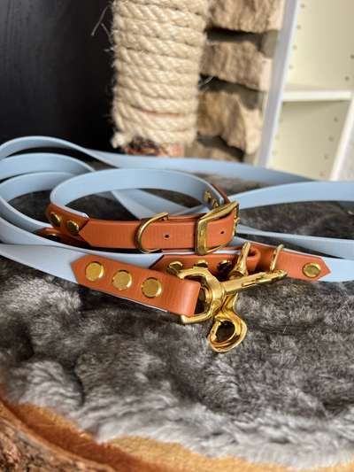 Hundehalsband + Leine aus Biothane (handgemacht)-Beitrag-Bild