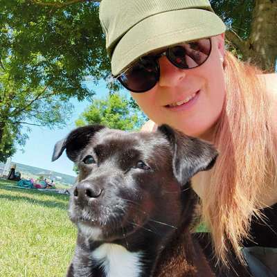 Hundetreffen-Spaziergang in und um Detmold-Bild