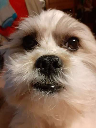 Fotochallange Nr. 57     PORTRÄT.   Beendet!!!!!!!!-Beitrag-Bild