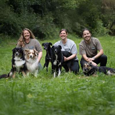 Hundeschulen-Martin Rütter HS Koblenz-Neuwied-Bild