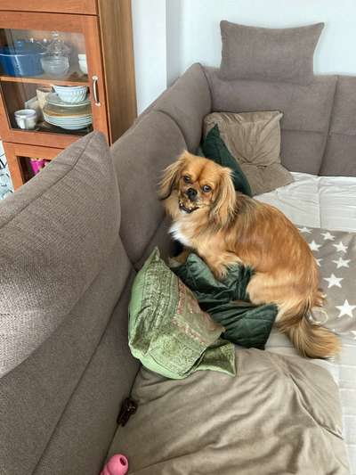 Vergraben von besonderen Schätzen!-Beitrag-Bild