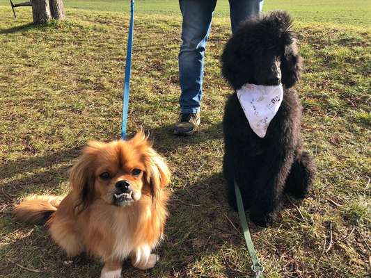 Challenge 30  Freundschaft-Beitrag-Bild