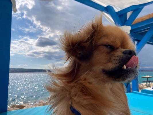 Handyfoto challenge Nr. 13: Waschlappen raus!-Beitrag-Bild