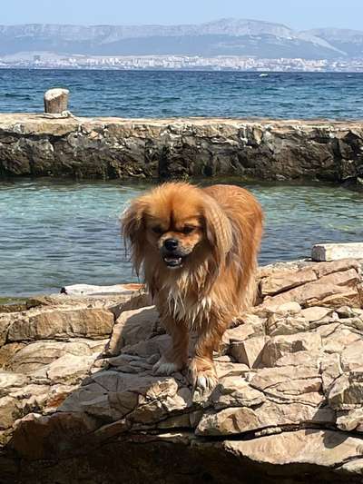 Foto Challenge Nr.133-Beitrag-Bild