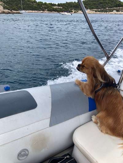 Fotochallenge 101:
On Tour-Beitrag-Bild