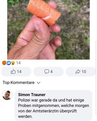Giftköder-Würstel im Gebüsch-Schmuckerau Wiener Ne-Bild