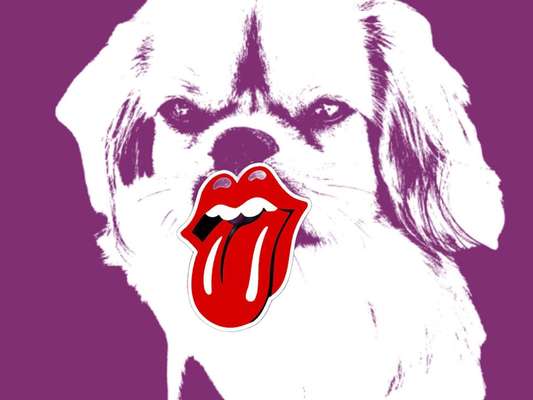 Tongue Out Tuesday-Beitrag-Bild