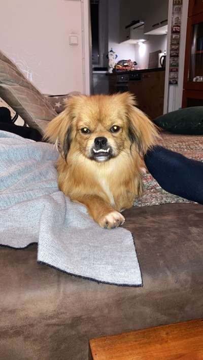 Fotochallange Nummer 5-Beitrag-Bild