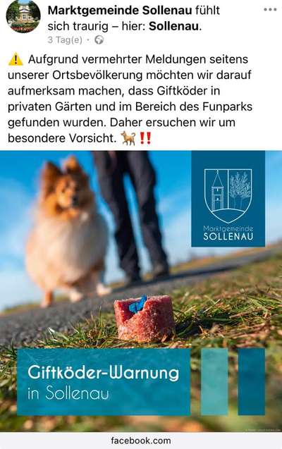 Giftköder-Giftköder-Bild
