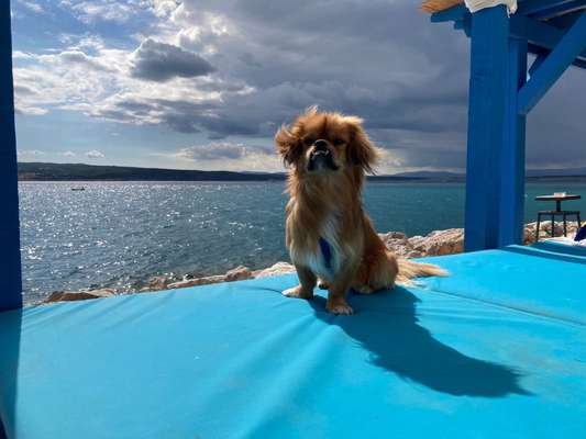 Eure Strandbilder :)-Beitrag-Bild