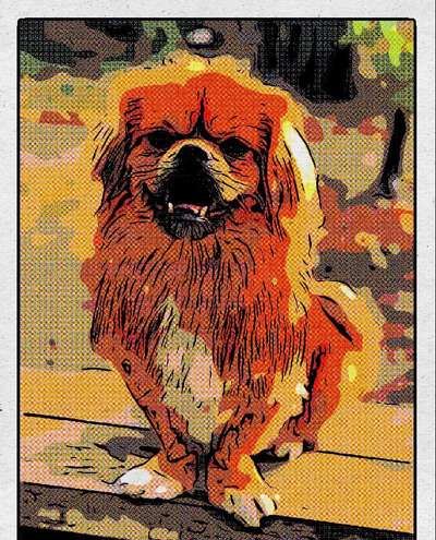 Fotochallenge 124 - Dein Comic-Hund-Beitrag-Bild