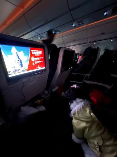 Ist es für einen Chihuahua sicher, mit einem Flugzeug zu reisen?-Beitrag-Bild