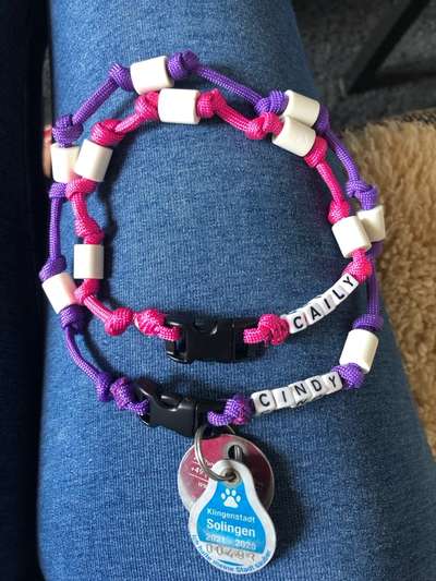 American Bully – Neue Einstufung als gefährlicher Hund in Braunschweig-Beitrag-Bild