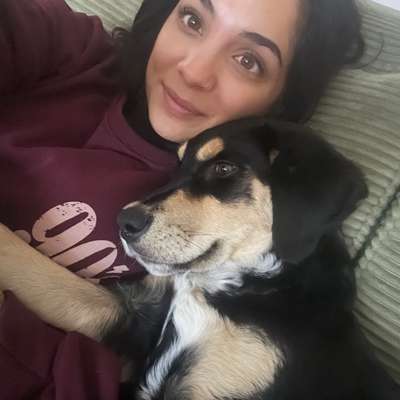 Griechische Bracke-Beitrag-Bild