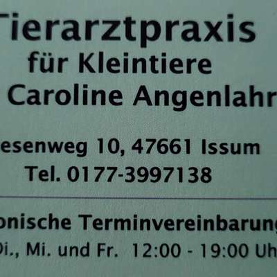 Tierärzte-Caroline Angelahr-Bild